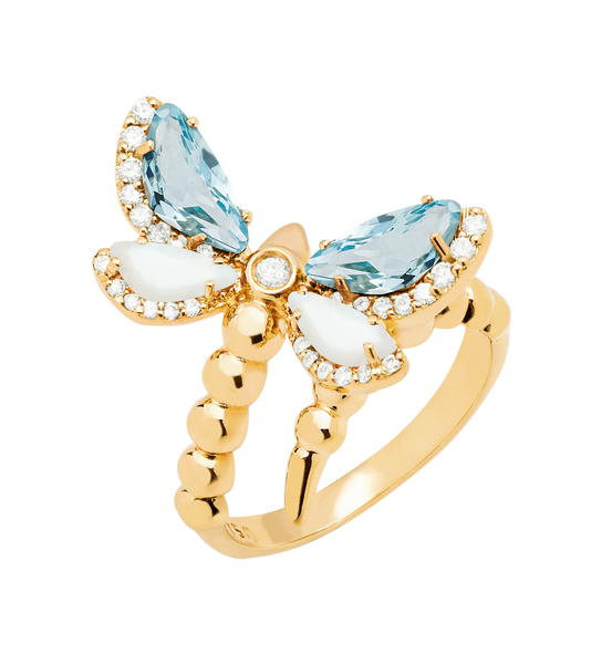 DRAGONFLY